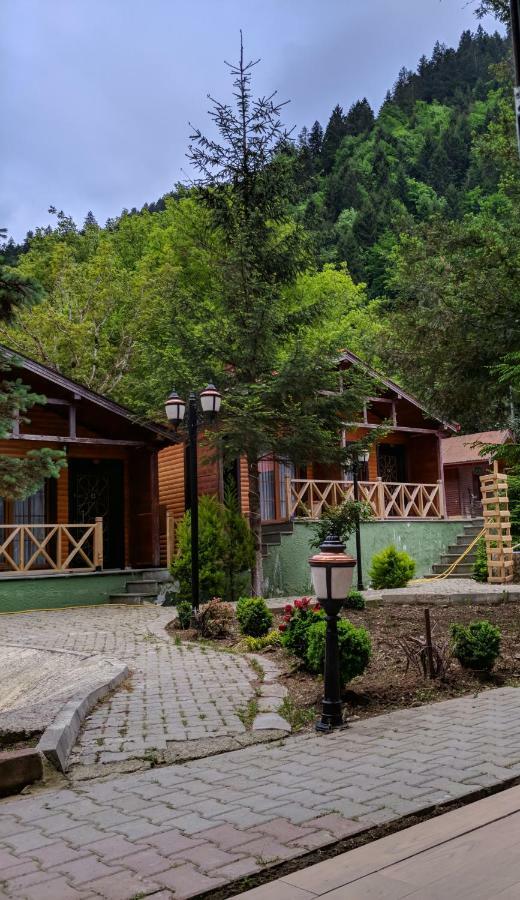 Centro Park Hotel Uzungöl Bilik gambar